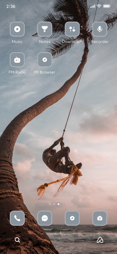 Cocunut Tree screenshot