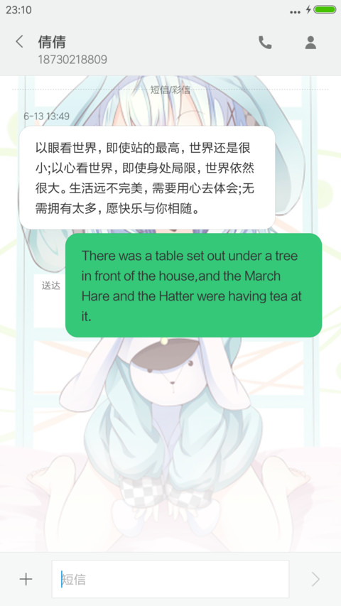 请问您今天要来点兔子吗（多锁屏自定义+自由桌面+动态壁纸） screenshot