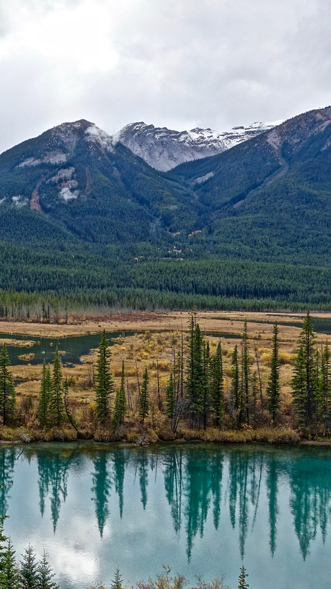 113306_1440x2560.jpg screenshot