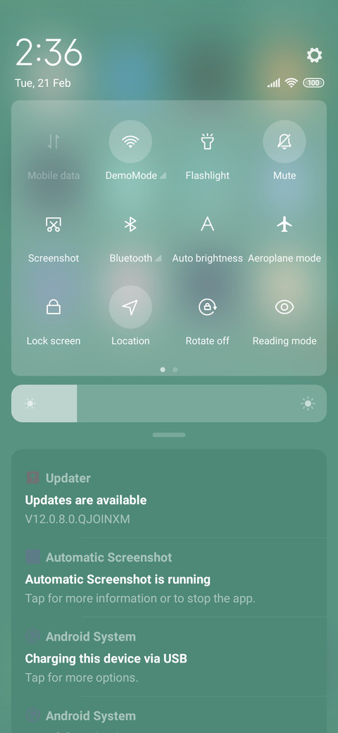 Forest chameleon screenshot