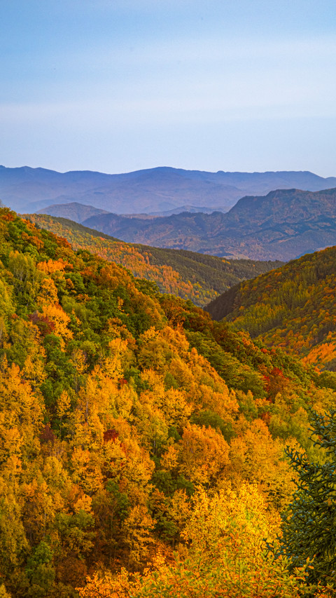 The autumn charm paints all the peaks screenshot