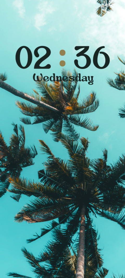 Palm Tree screenshot