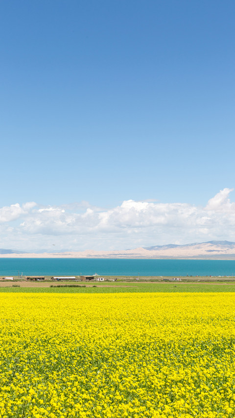 Scenic spots worth clocking in Qinghai 3 screenshot