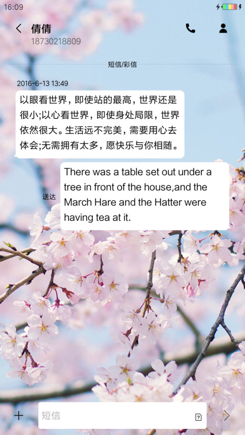 樱花物语 screenshot