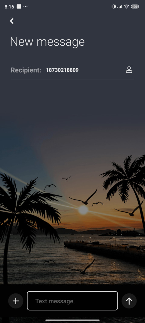 Sea and birds screenshot