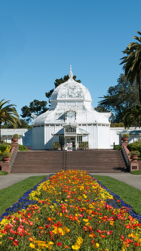 Conservatory of flowers san francisco screenshot