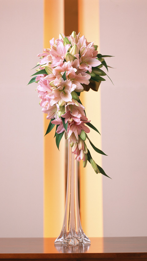 You can choose 65 for indoor flower arranging screenshot