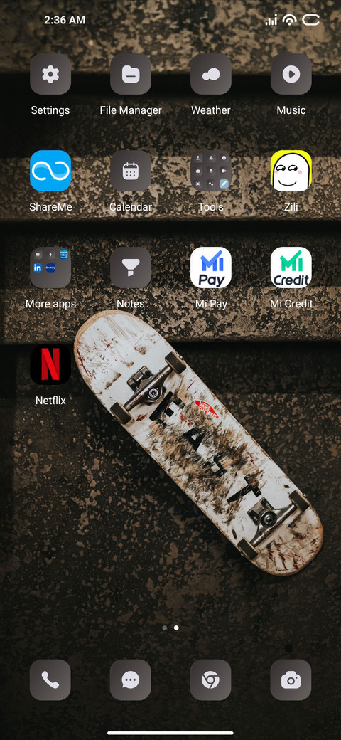 Skate screenshot