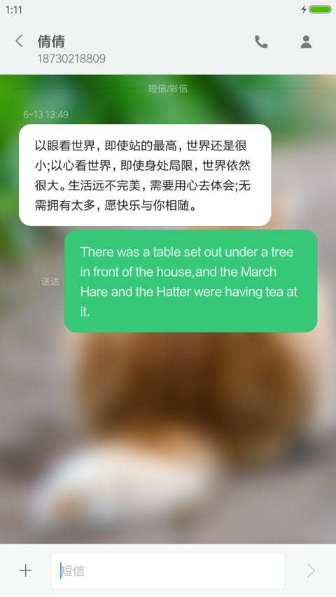 小笨猫（完整旗舰版+多功能锁屏） screenshot