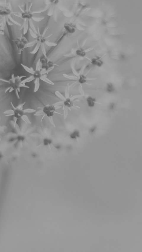 Win10清华 screenshot