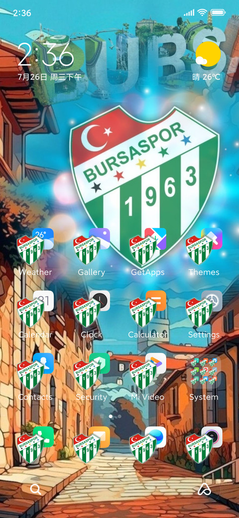 BURSA SPOR screenshot