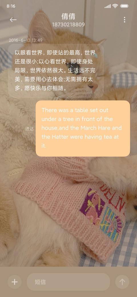 猫咪日记 多图 screenshot