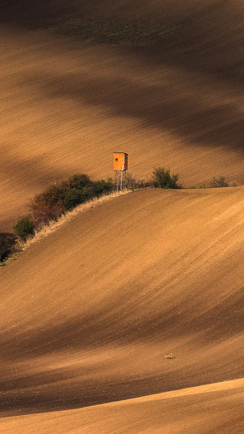 Moravian fields in autumn time screenshot