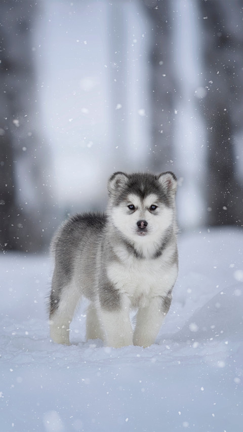 shutterstock_1666316569 screenshot
