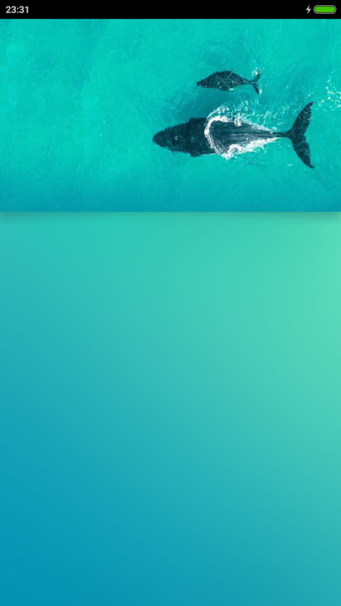sea NY screenshot
