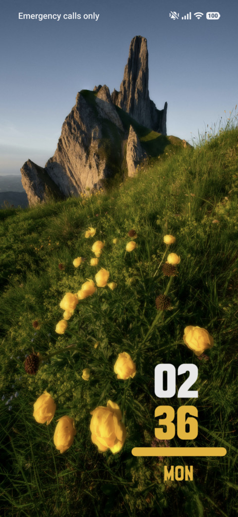 Willow Sky screenshot