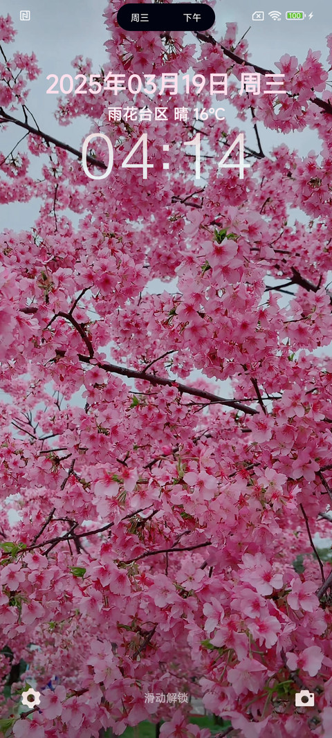 春花满园 screenshot