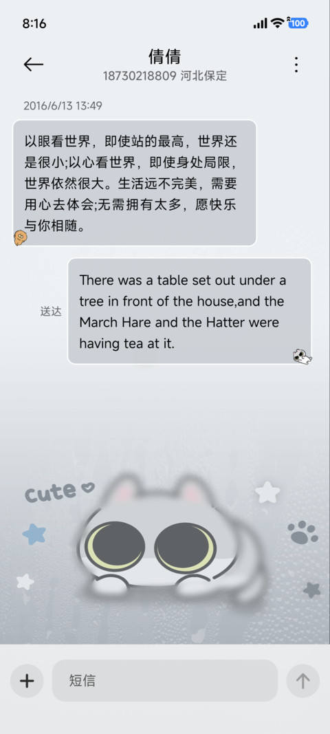 呆猫八条 雨雾多图 screenshot