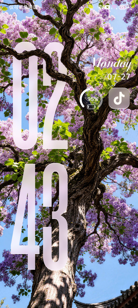 景深 花开有期 screenshot