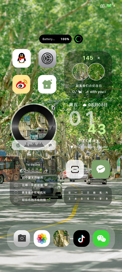 人间盛望双署名 screenshot
