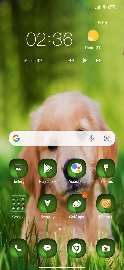 Puppy on screenshot