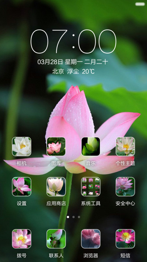 微山湖荷花（高清壁纸) screenshot