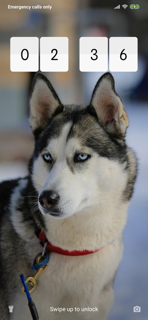 Husky_3MDP screenshot