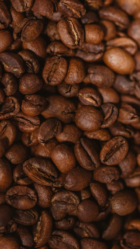 coffee beans screenshot