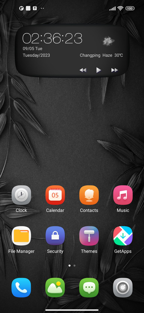 Black Leaves screenshot