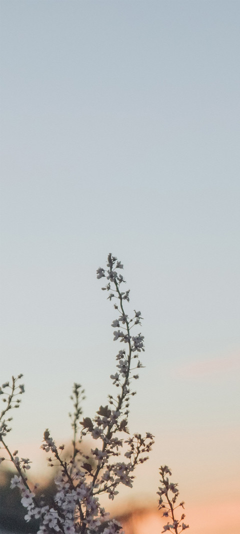 小小天空 screenshot