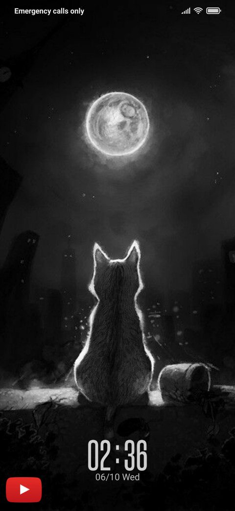 Black Cat NY screenshot