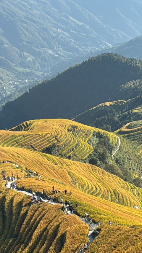 Among the sea of clouds in longji terraced fields screenshot