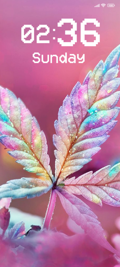 Pink Flower screenshot