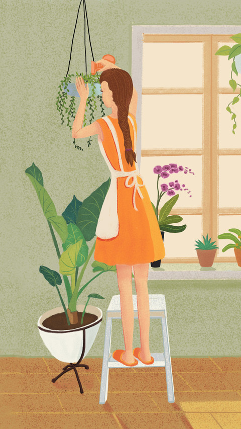 Plants suitable for kitchen 0 screenshot