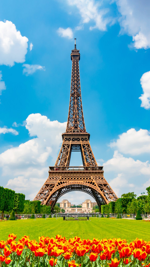 Eiffel Tower and spring tulips on Field of Mars screenshot