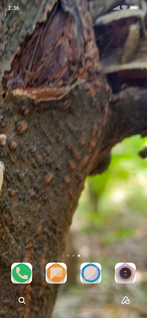 Insect screenshot