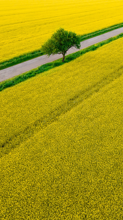 Wide fields screenshot