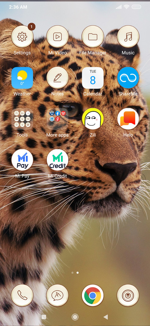 Leopard_3MDS screenshot