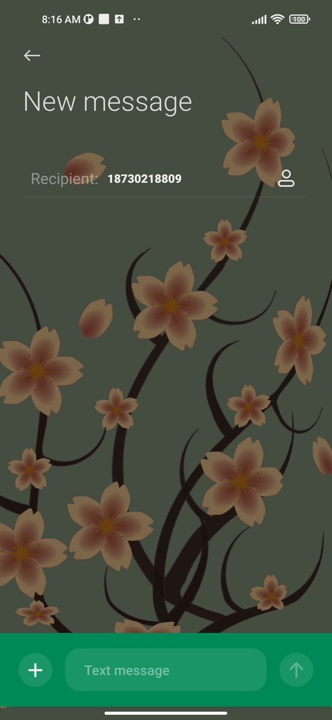 Cherry blossoms screenshot