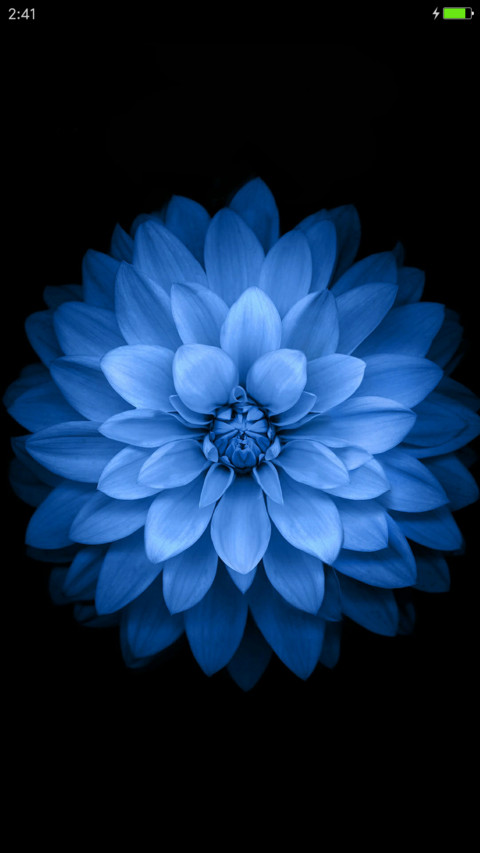 iOS Blue screenshot