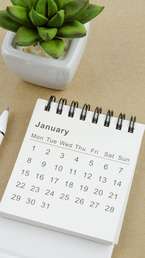 Buy an old calendar to celebrate the new year screenshot