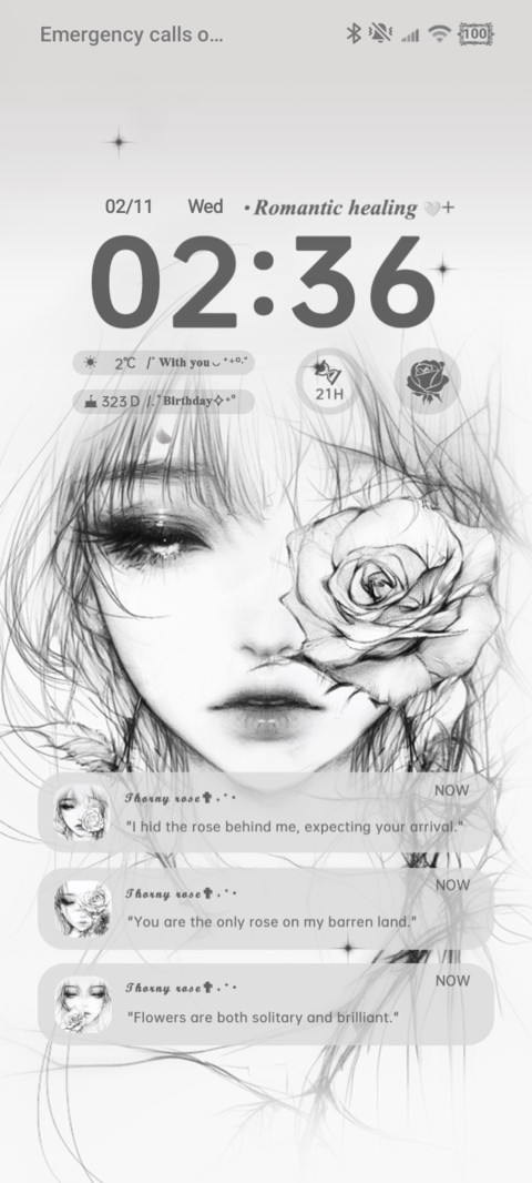 Roses Hide Love screenshot