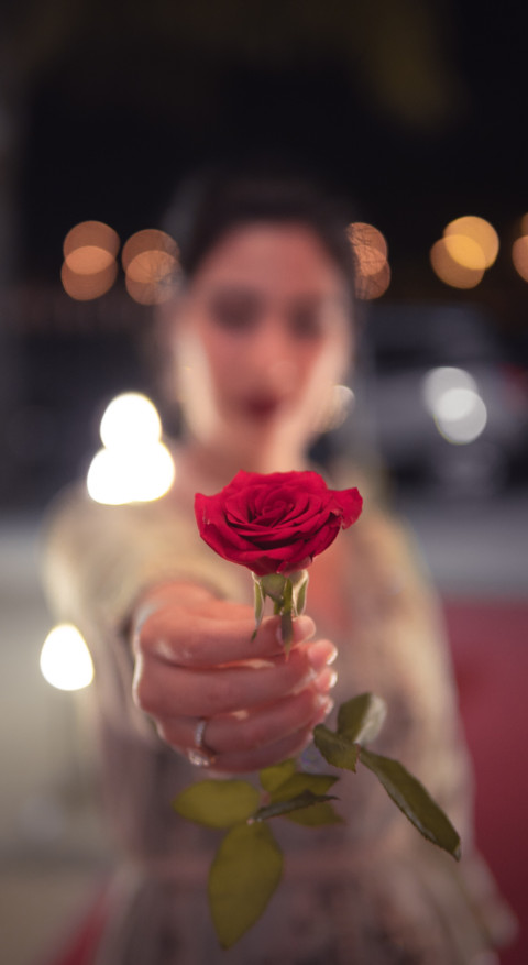 Red Roses screenshot