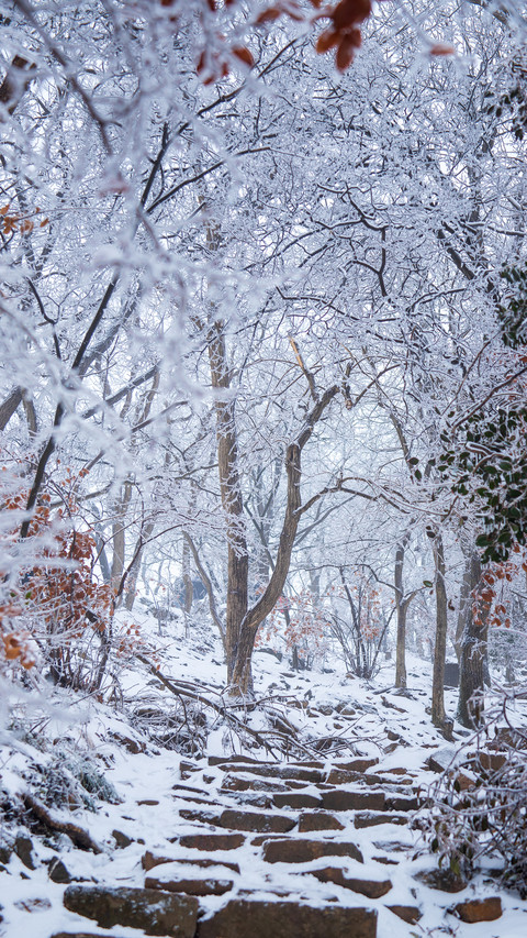 Mountain road in the snow screenshot