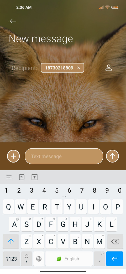 Handsome Fox screenshot