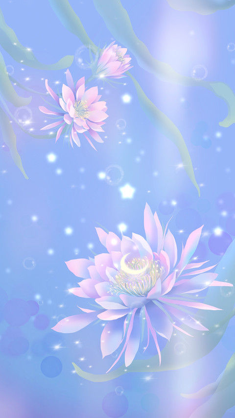 Epiphyllum and starlight are beautiful screenshot