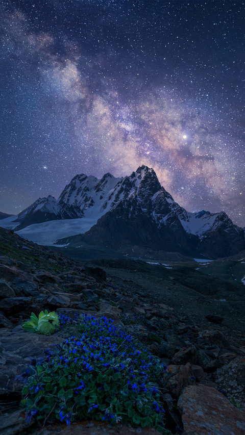 Snow mountain glacier and high mountain snow lotus screenshot