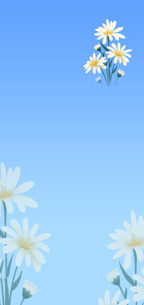 小菊花 screenshot