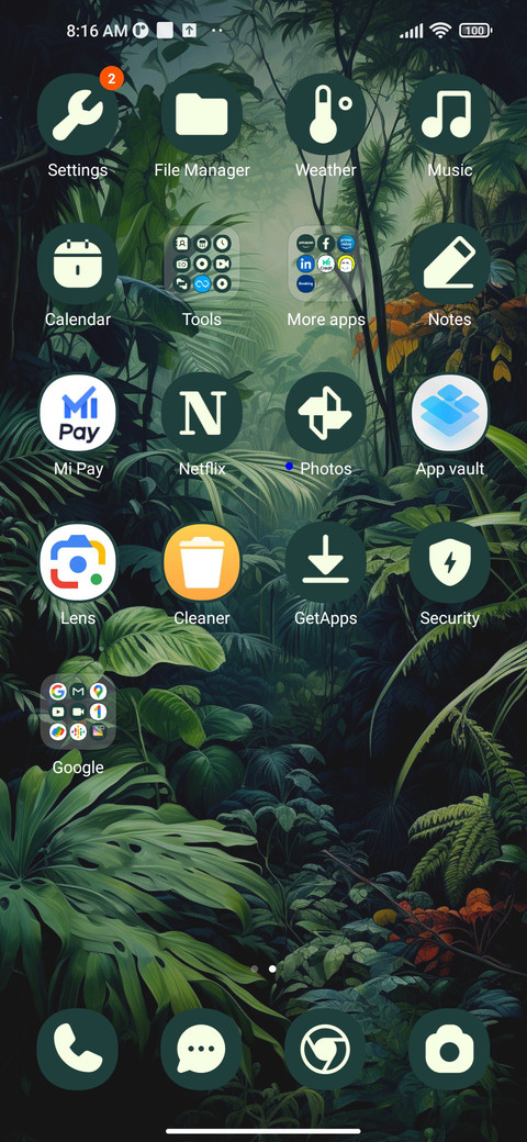 rainforest toucan screenshot