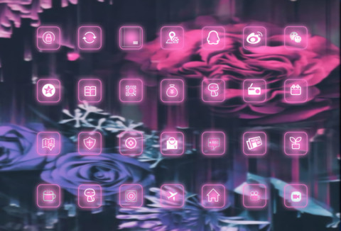 红蓝玫瑰 screenshot